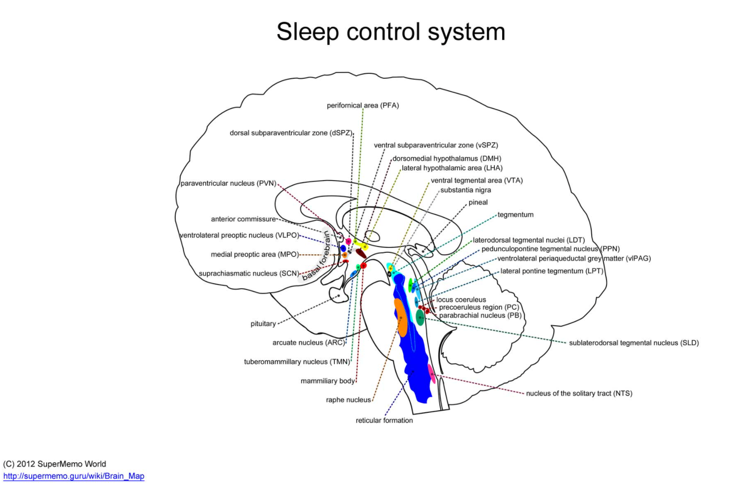 sleep_control_system